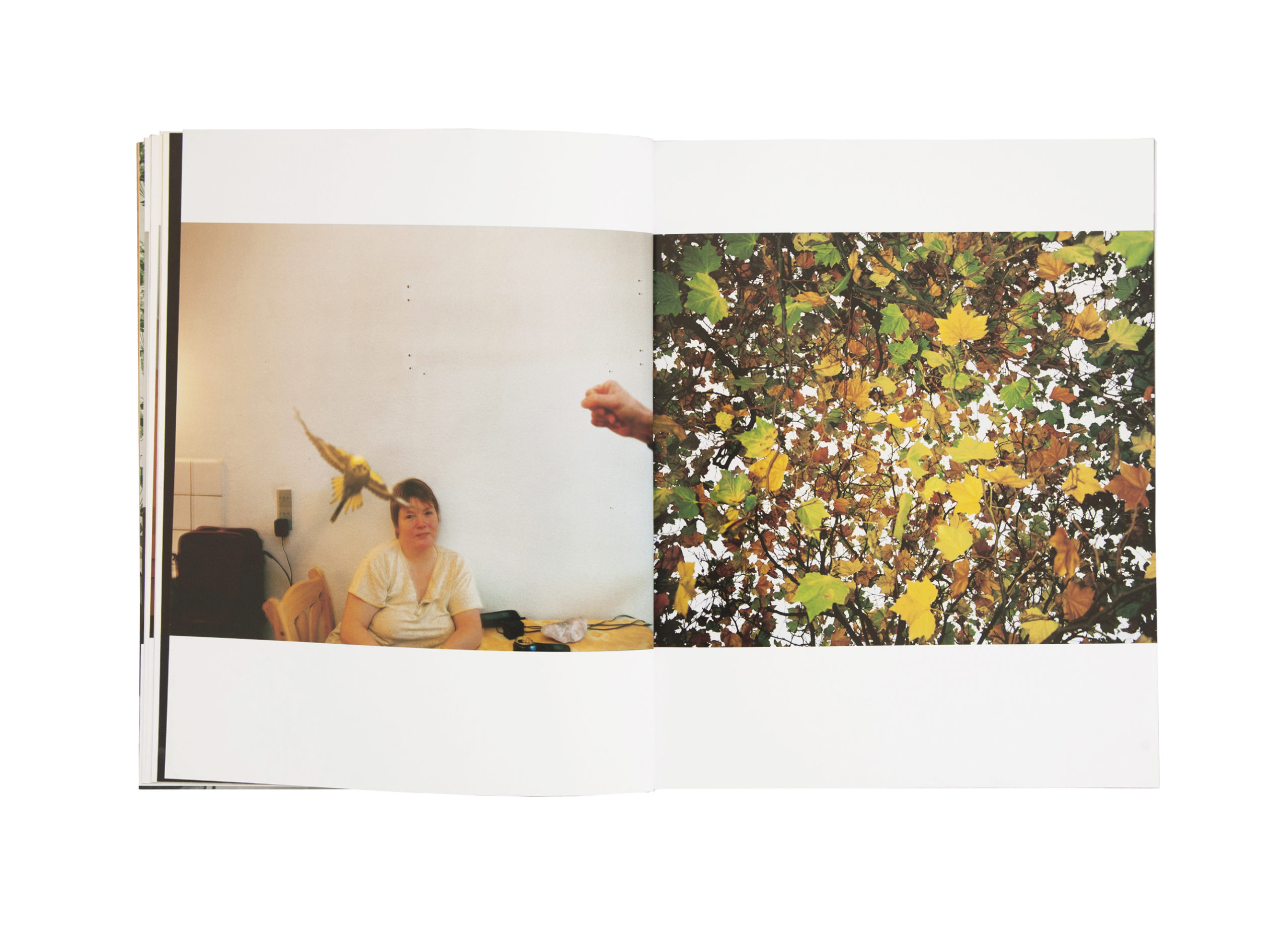 Spread from Nicolai Howalt's book 3x1