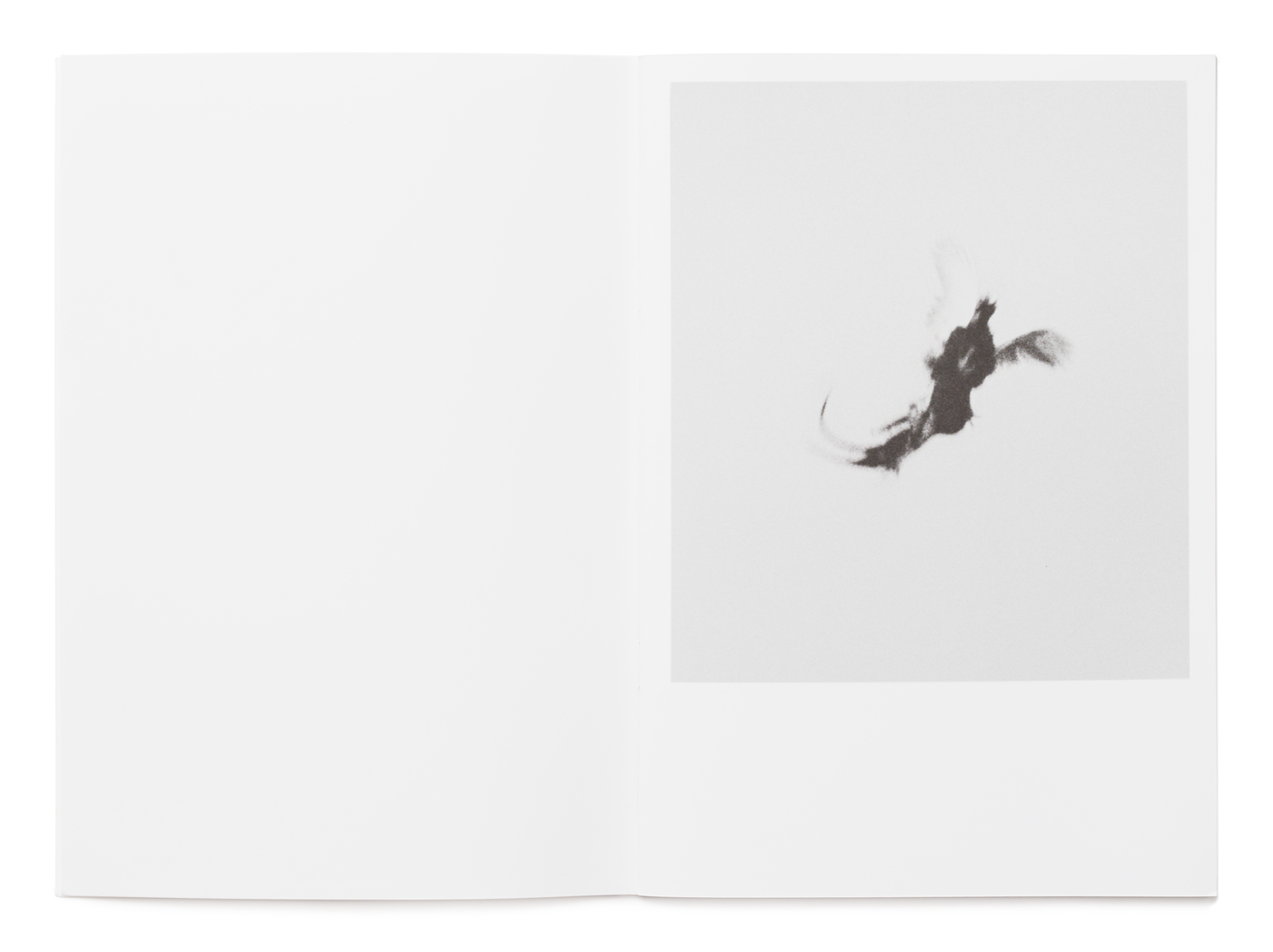 Image of the booklet Dying birds by søndergaard and howalt