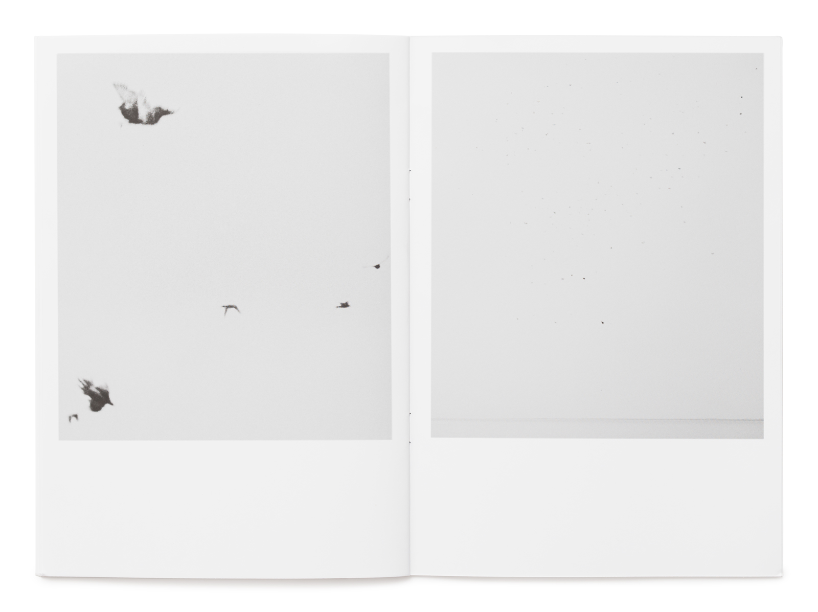 Spread from the book Dying birds by Trine Søndergaard and Nicolai Howalt