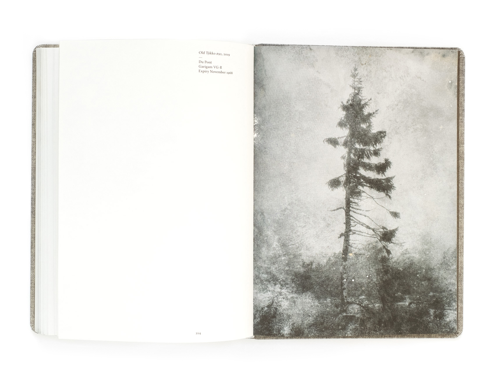 Old Tjikko - spread from the book by Nicolai Howalt