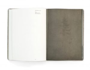 Old Tjikko by Nicolai Howalt | Book | fabrikbooks.com