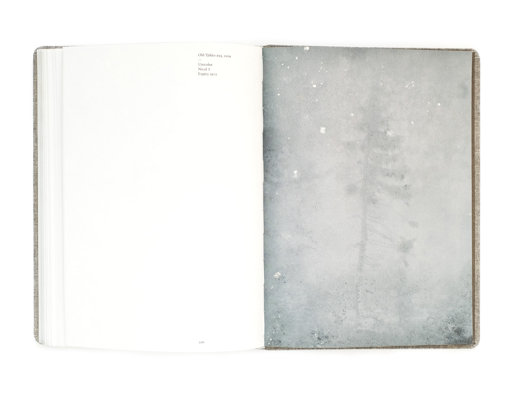 Old Tjikko - spread from the book by Nicolai Howalt