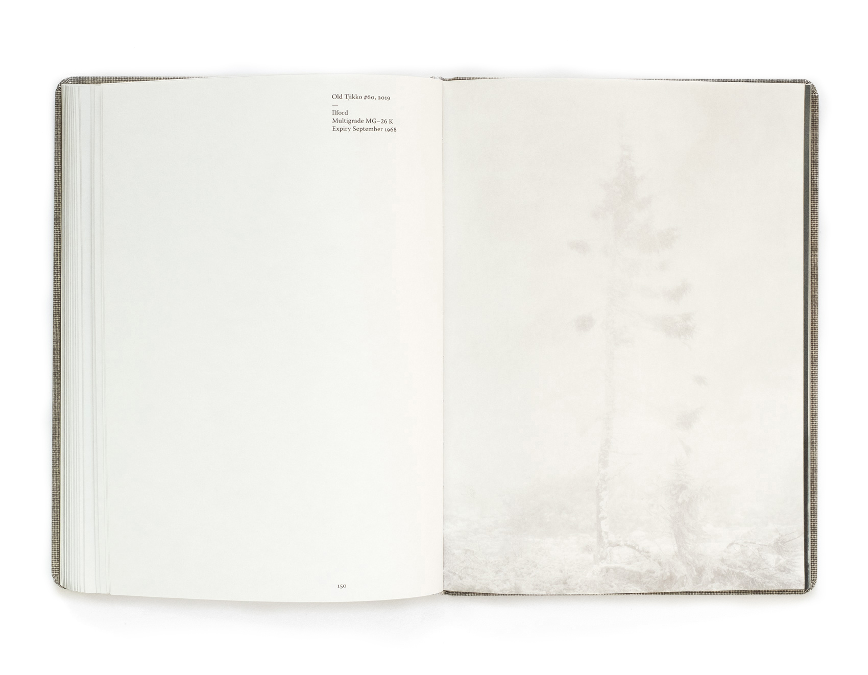 Old Tjikko - spread from the book by Nicolai Howalt