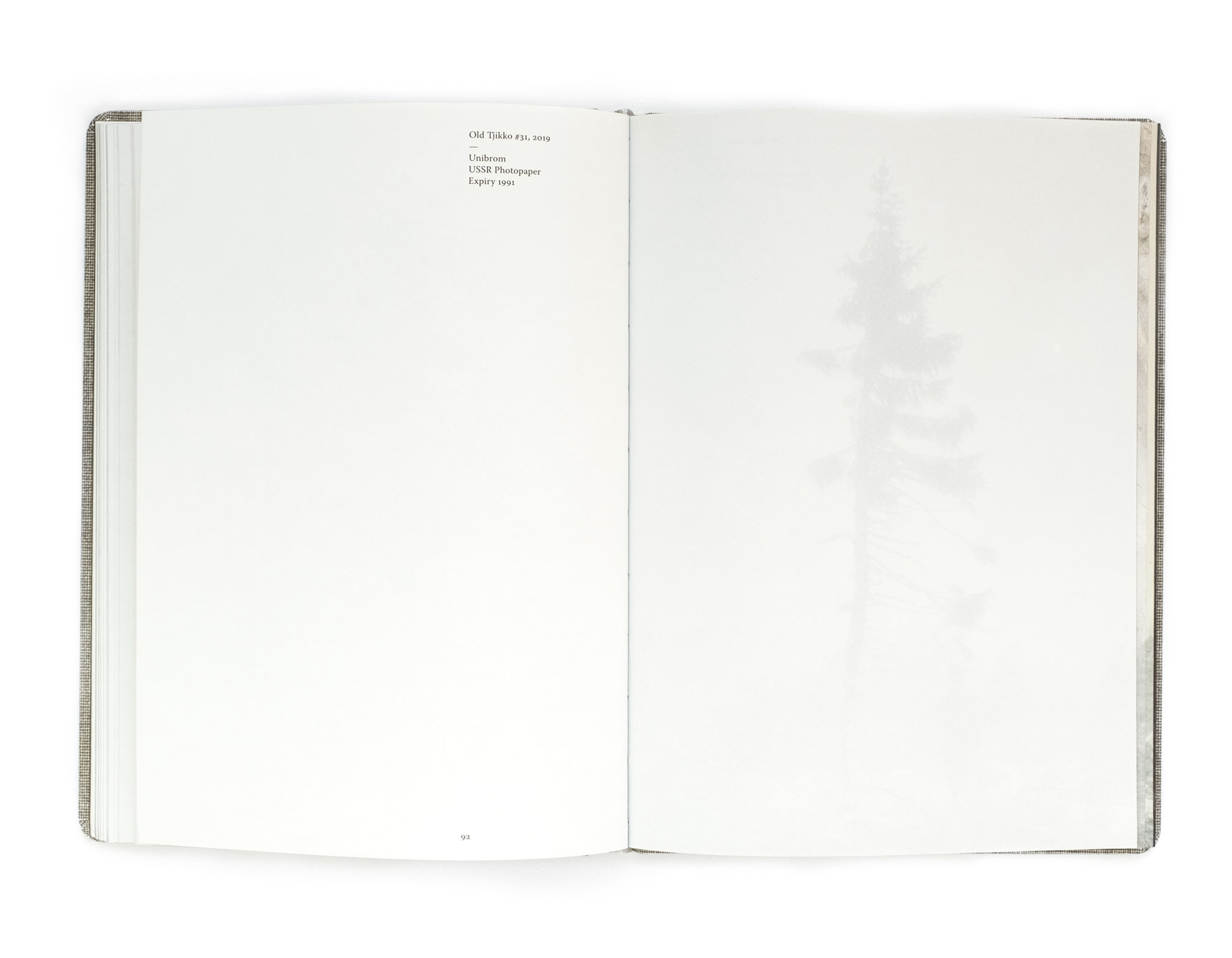 Old Tjikko - spread from the book by Nicolai Howalt