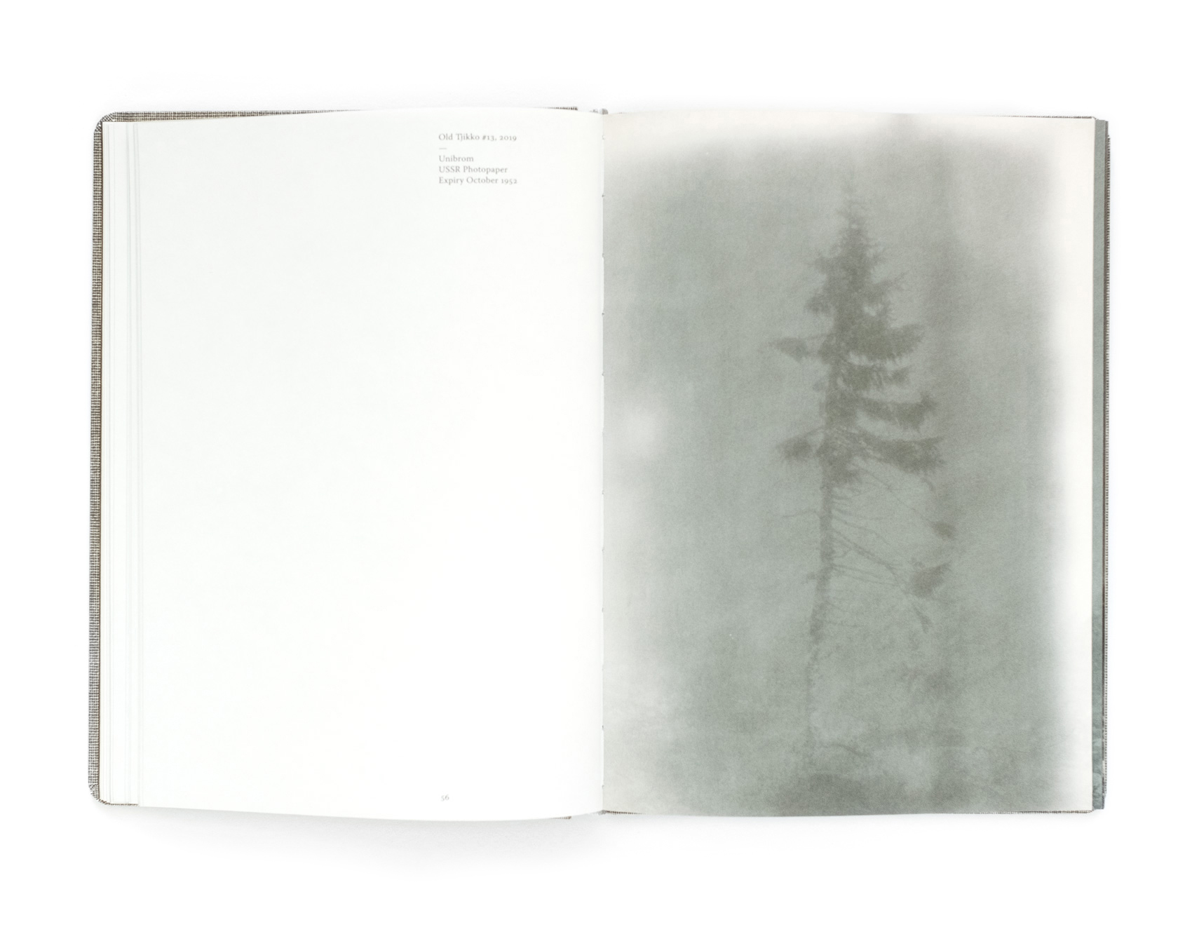 Old Tjikko - spread from the book by Nicolai Howalt