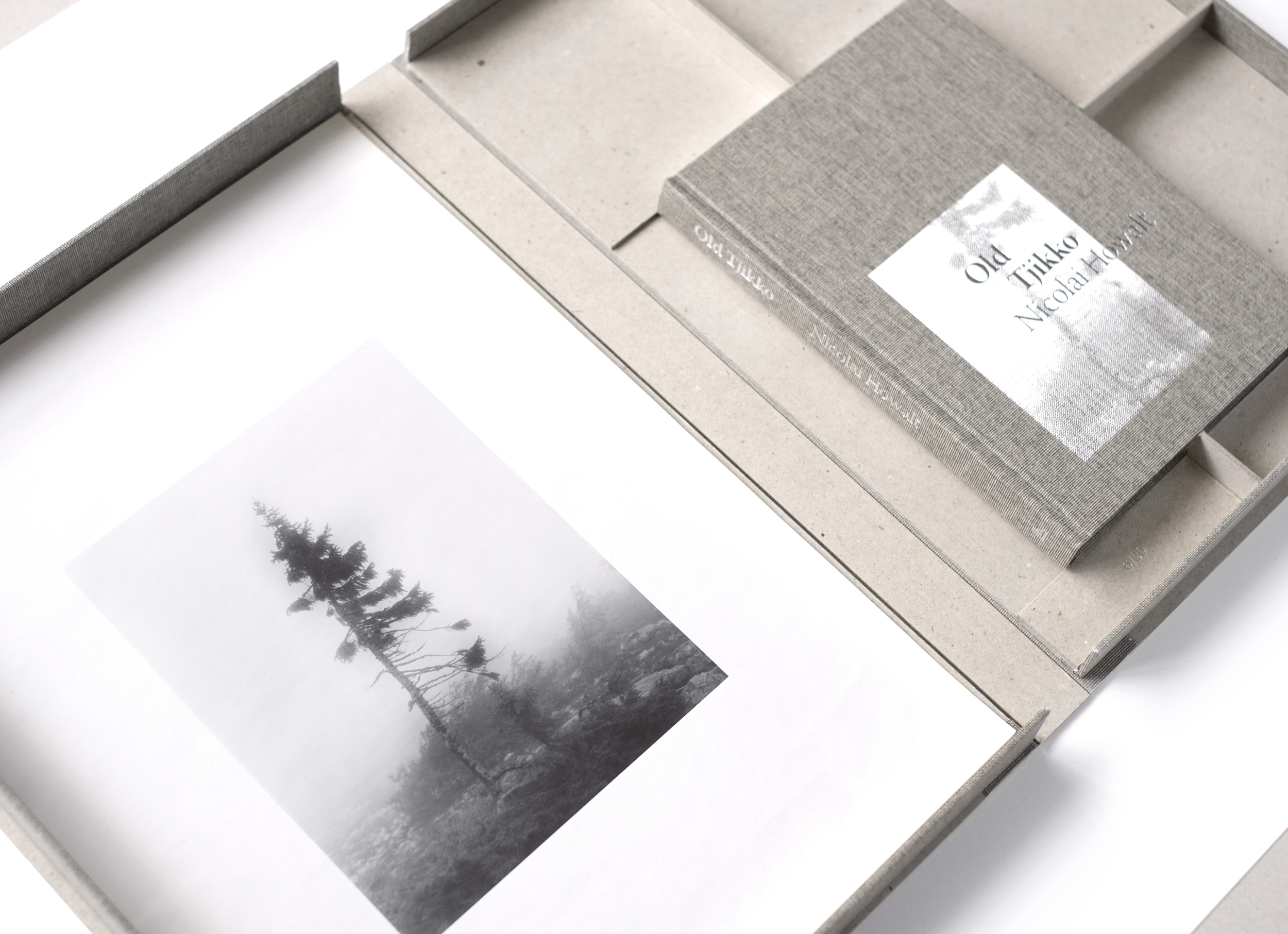 Old Tjikko - Special Edition by Nicolai Howalt - fabrikbooks.com