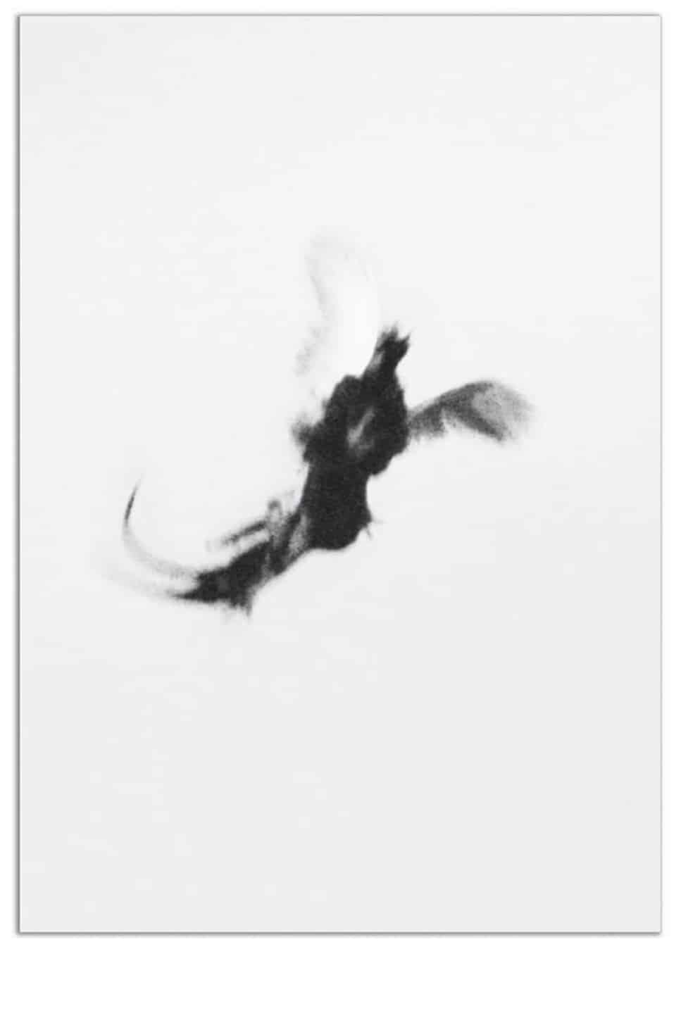 Dying birds poster by Trine Søndergaard and Nicolai Howalt